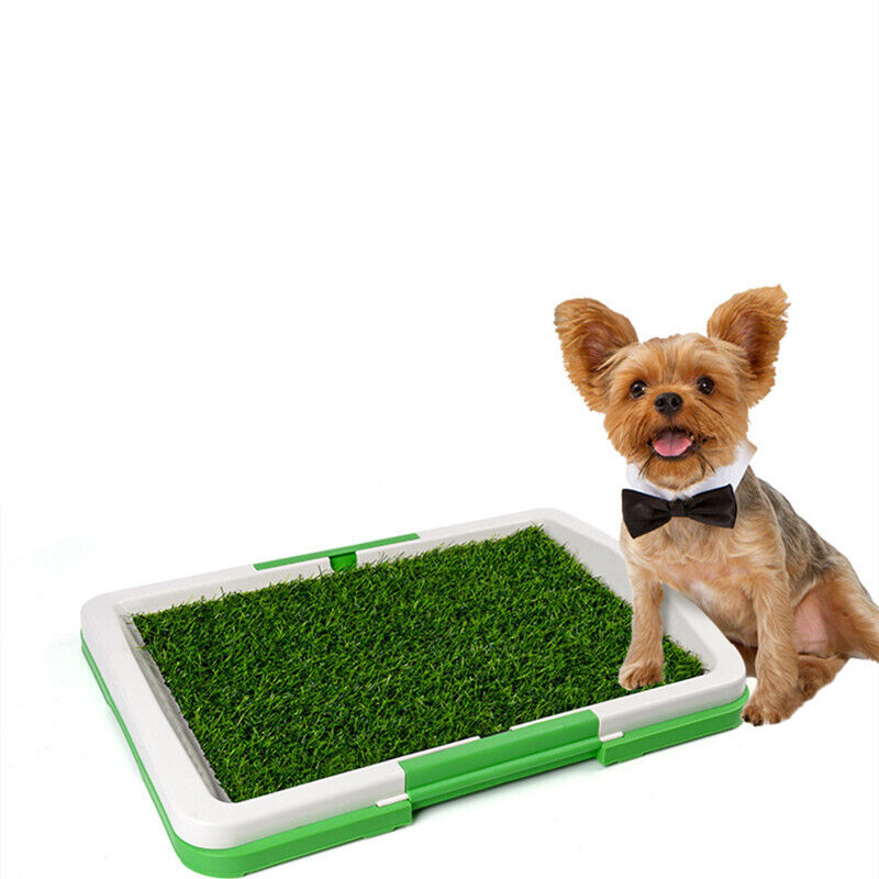 Pet Dog Toilet Mat Indoor Restroom Training Grass Potty Pad Loo Tray Large Puppy